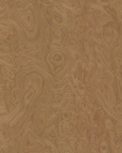 ALPI Walnut Burl 10.07